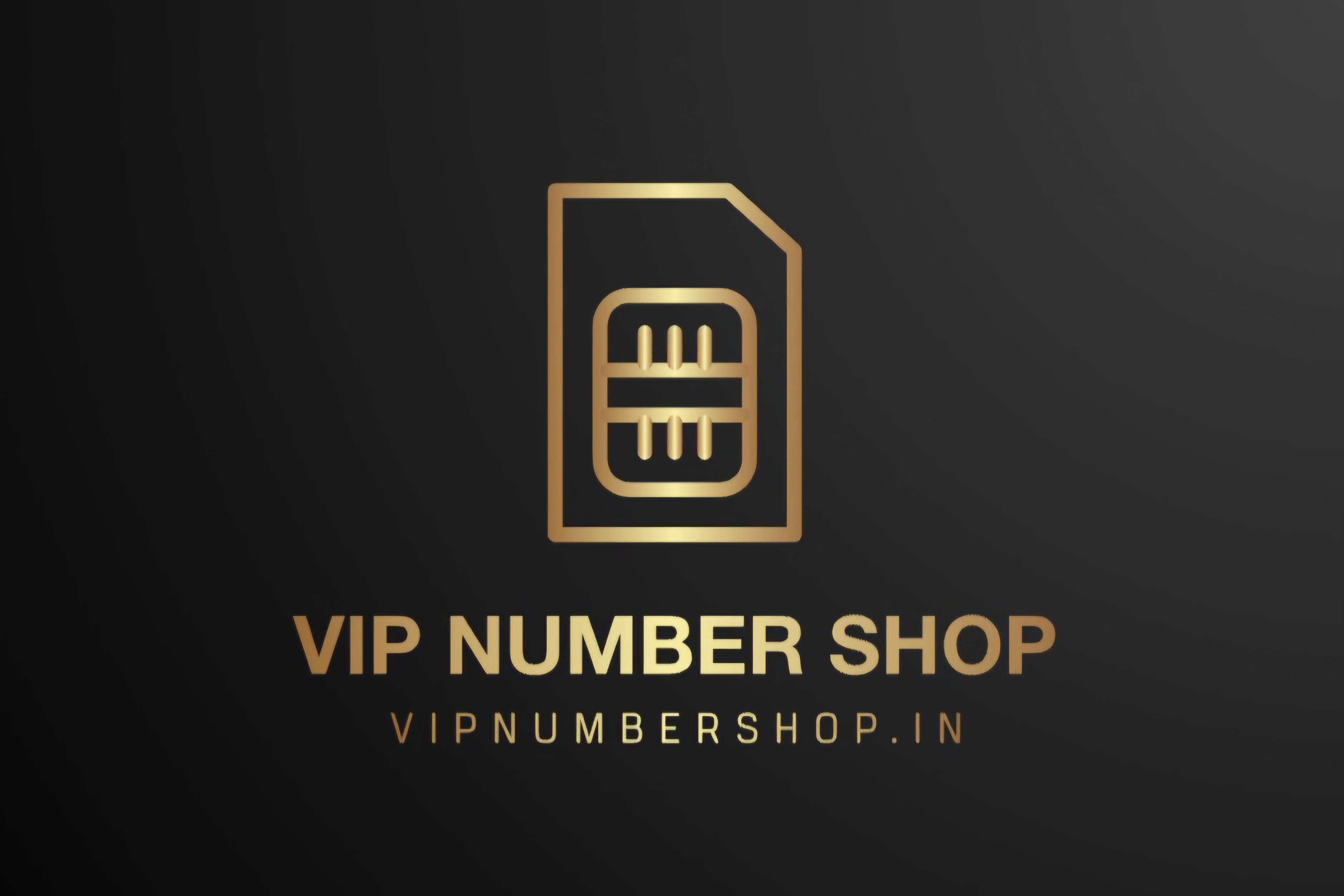 VIP Numbers Logo